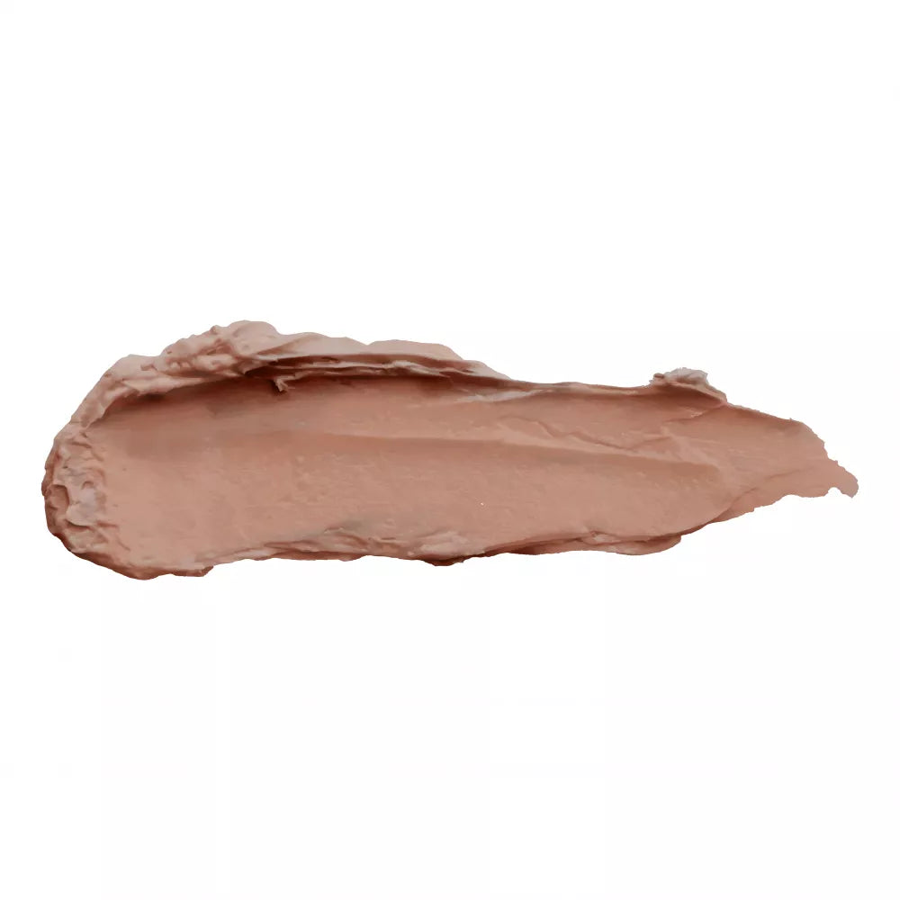 SP PRO PAINT STICK 20GR #104