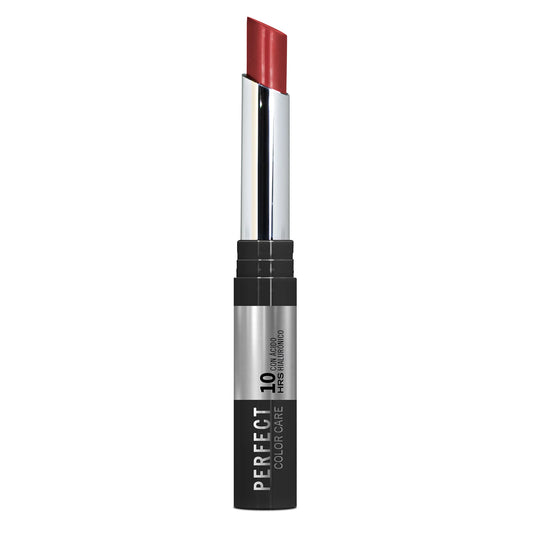 ANA MARIA LABIAL LD PERFECT COLOR CARE AMARETO