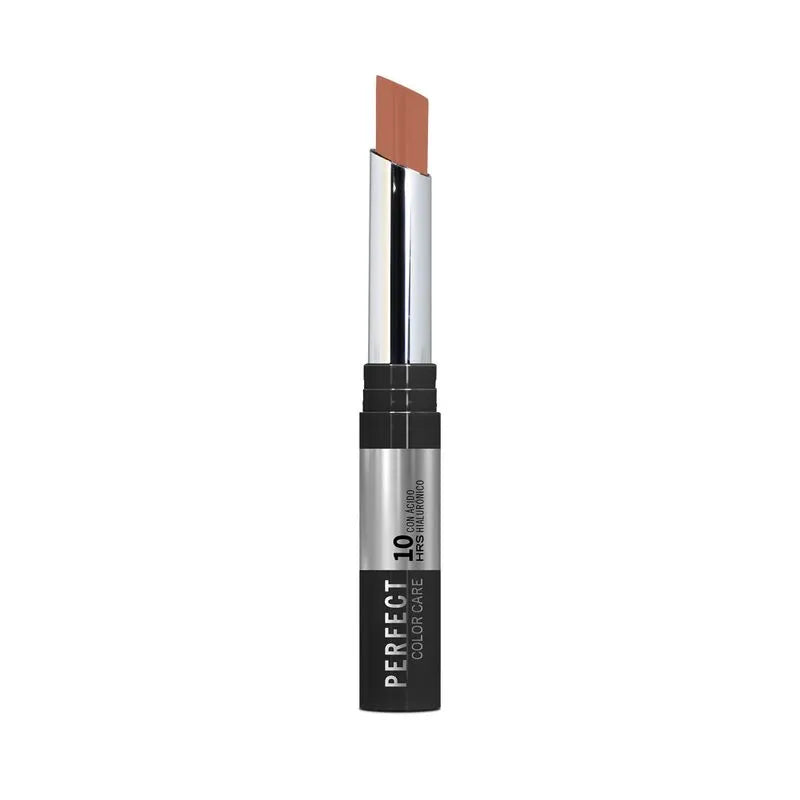 ANA MARIA LABIAL LD PERFECT COLOR CARE MOCCA