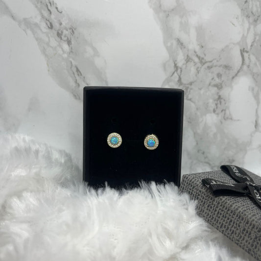 TOPO PLATA RODINADA STD